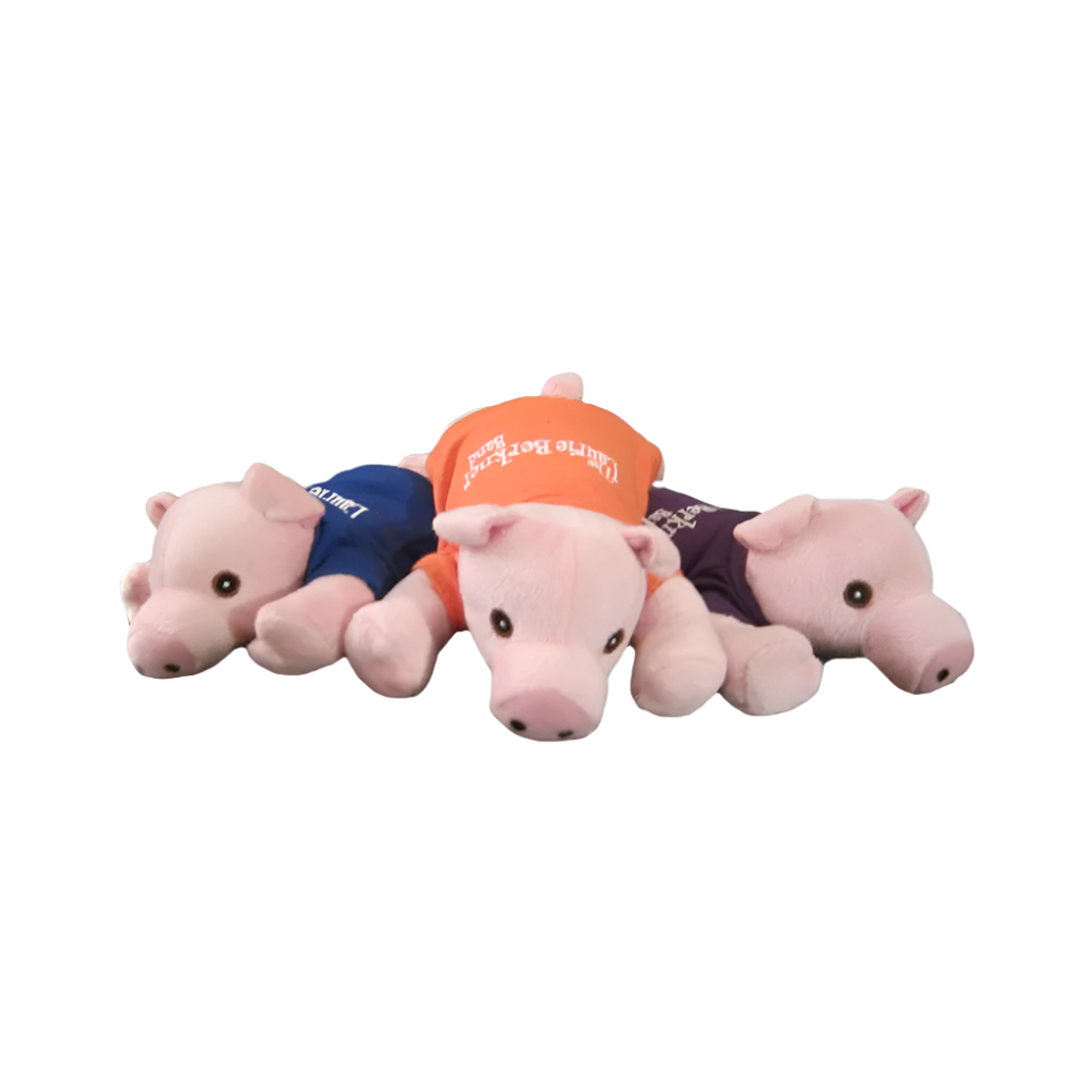 Pig On Your Head Toy