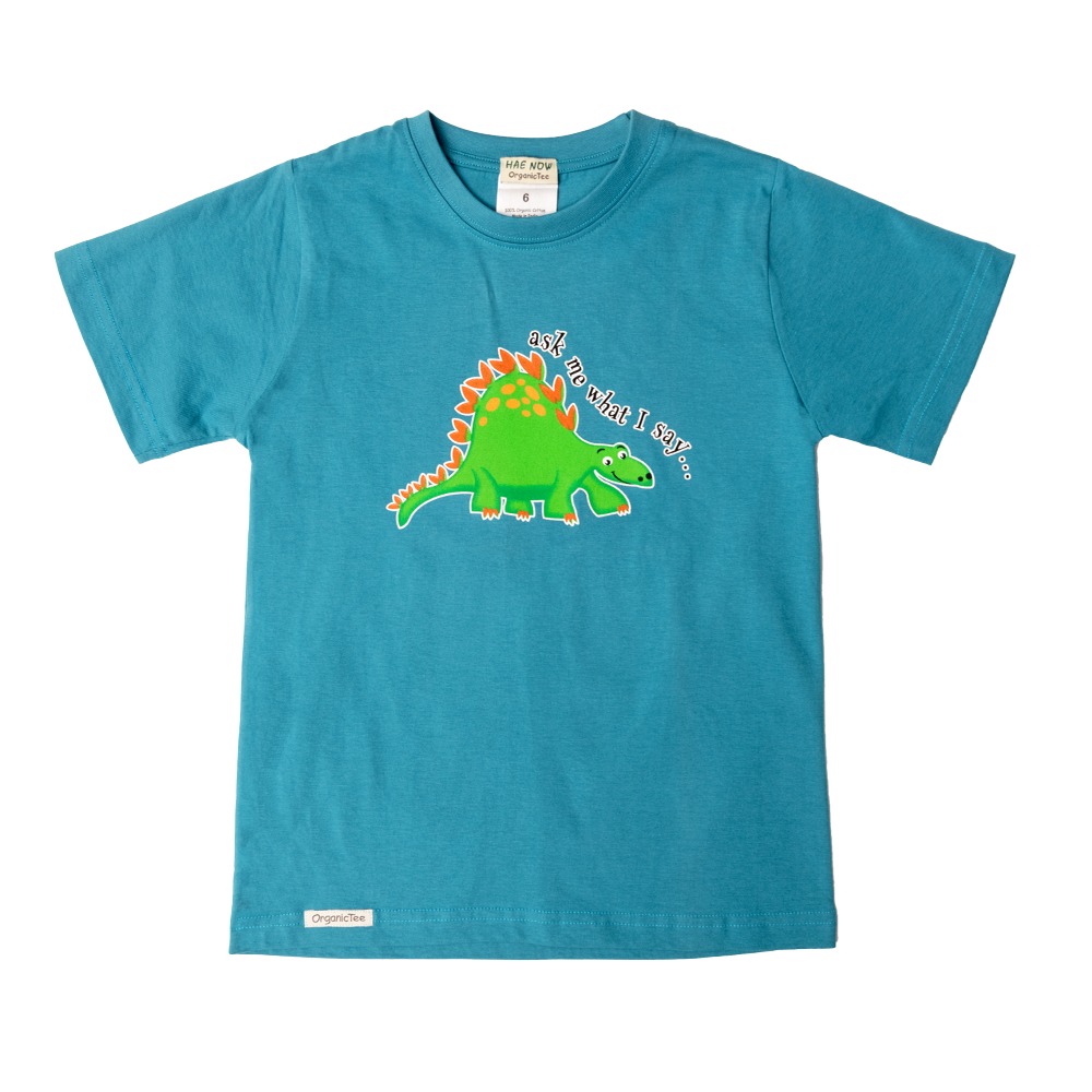 Ask Me What I Say . . . Youth T-Shirt (Blue)