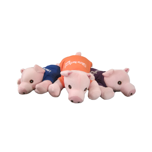 Pig On Your Head Toy